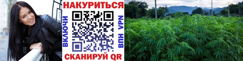 Канабис марихуана  купить закладку  Великий Устюг 